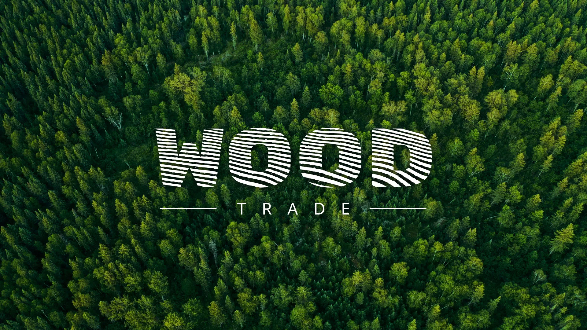 Разработка интернет-магазина компании «Wood Trade» в Баймаке
